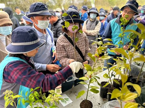 觀賞樹木 推薦|臺灣原生樹木推廣及媒合平臺